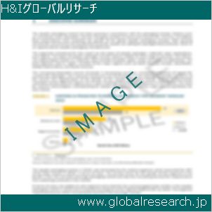 グローバルリサーチ調査レポートのイメージ